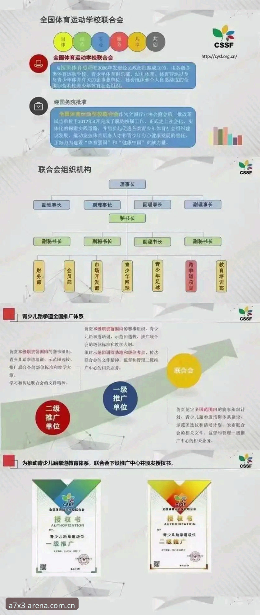 B体育平台用户规模解析：从赛事数据到竞技体验的完整指南