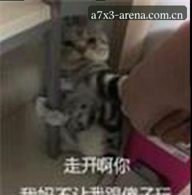 赵雪